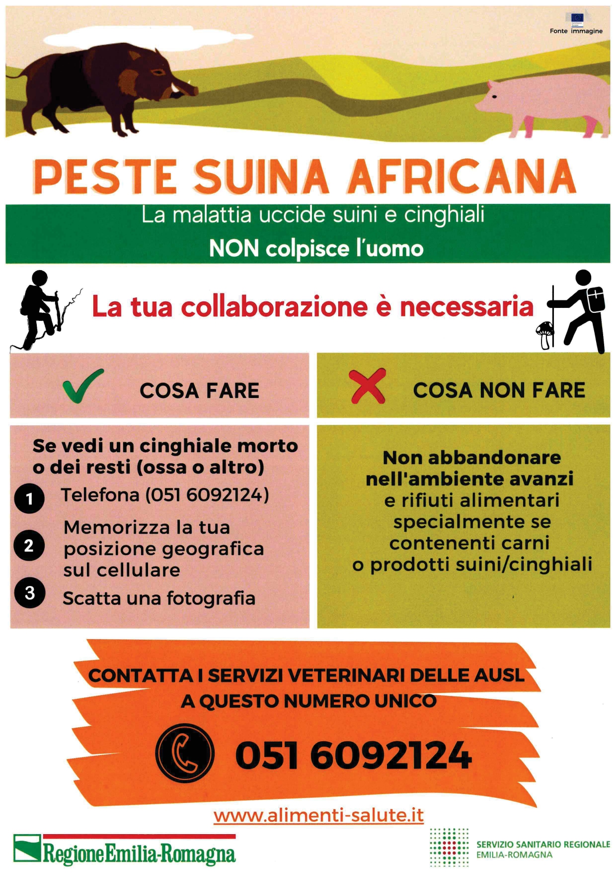 Immagine Peste Suina Africana (PSA): ricerca attiva carcasse e parti di cinghiali morti 